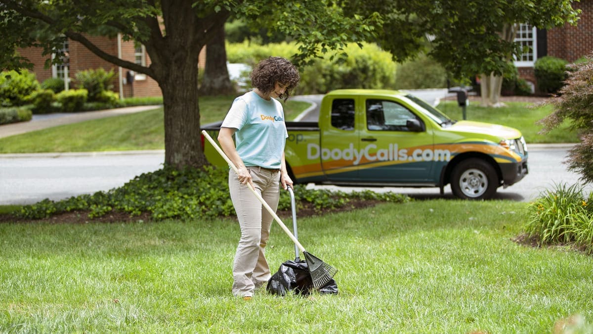 DoodyCalls technician scooping poop in yard