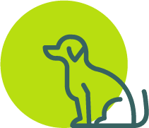 Icon of dogs sitting with green background