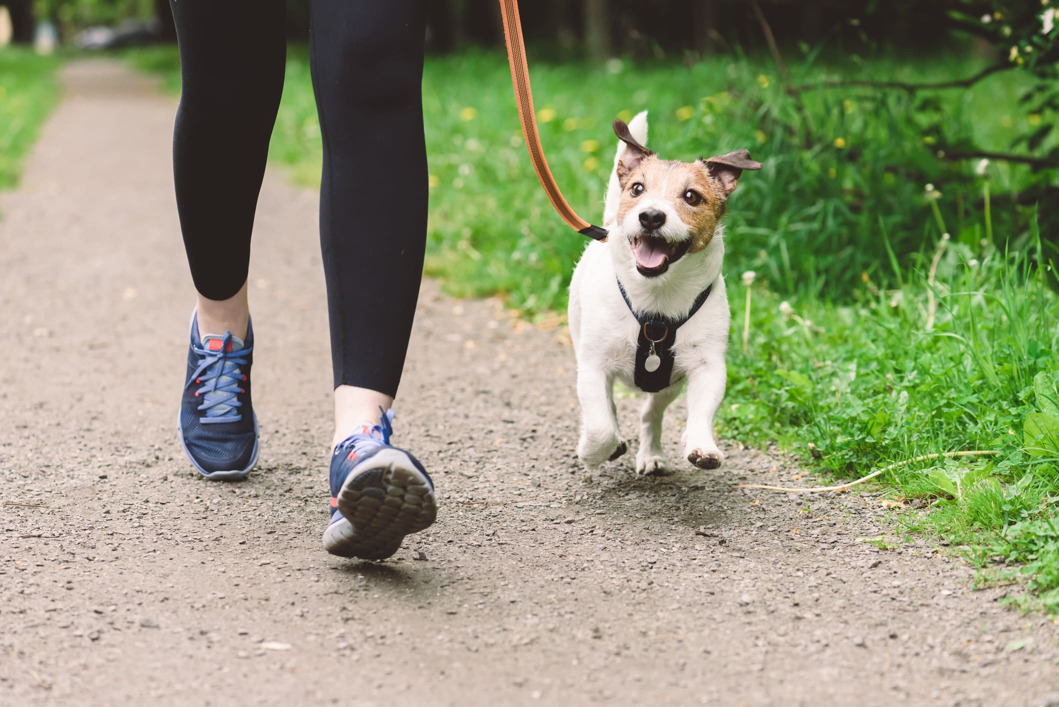 Woman running with dog