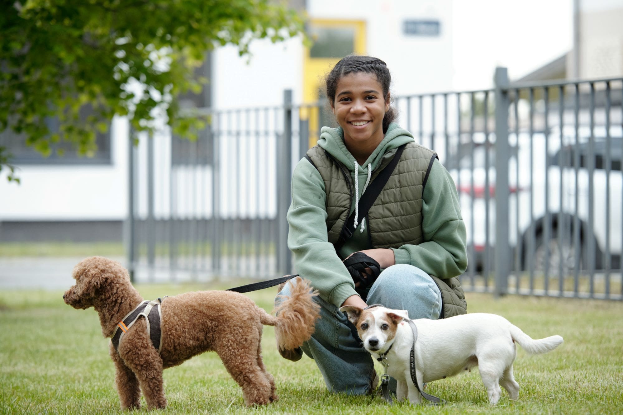 Young woman walking dogs for her pet care business.
